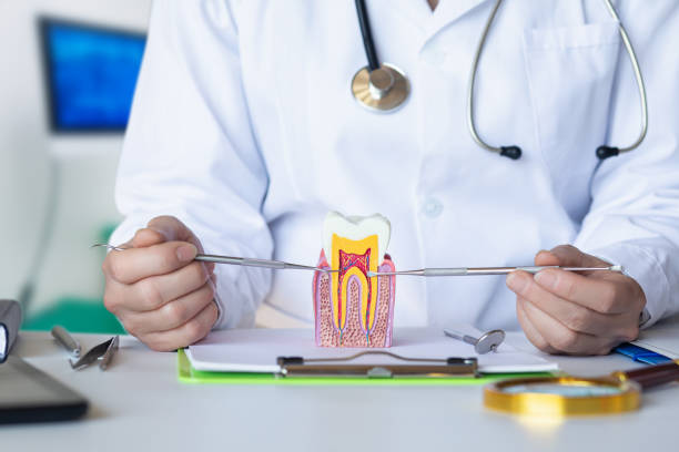 Best Emergency Treatment for Toothache in Homer, GA
